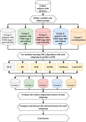 An integrated machine learning predictive scheme for longitudinal laboratory data to evaluate the factors determining renal function changes in patients with different chronic kidney disease stages